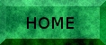 Navigatieknop home
